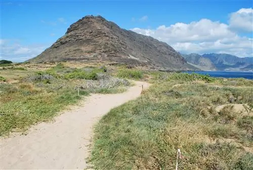 Каэна-Пойнт, Оаху, Гавайи