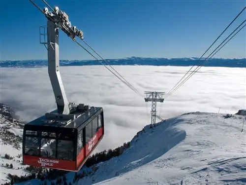 jhmr_tram_03 копия-j.webp