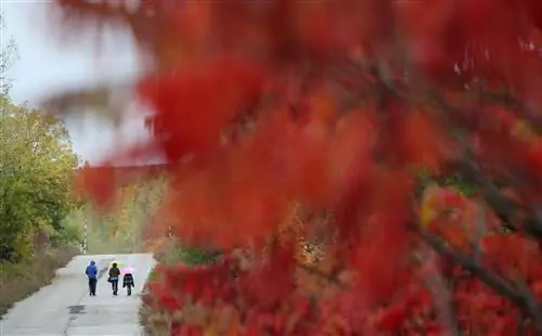 Осень в городском национальном парке Руж-Вэлли, Торонто