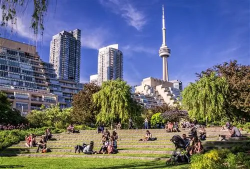 Музыкальный сад Торонто - одно из самых красивых мест города.