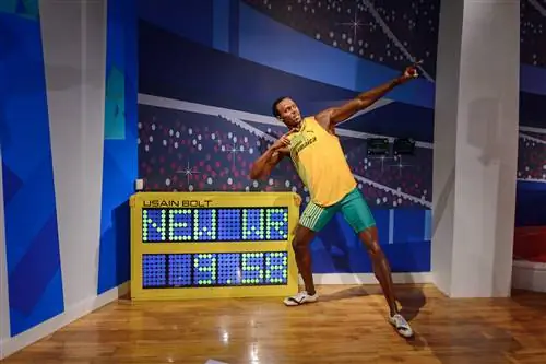 Ямайский спортсмен Усэйн Болт стоит в своей фирменной позе с руками, направленными под углом вверх, когда он наклоняется, стоя рядом со своим мировым рекордом на 100 м за 9,58 секунды.