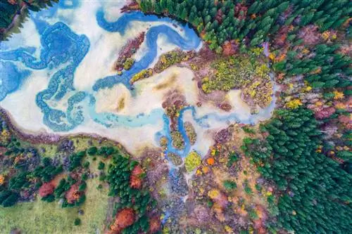 Аэрофотосъемка леса Аэрофотосъемка леса