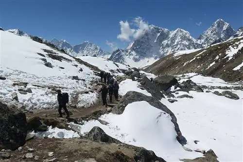 Особенности - IMG_1806-84e3e46f20e0