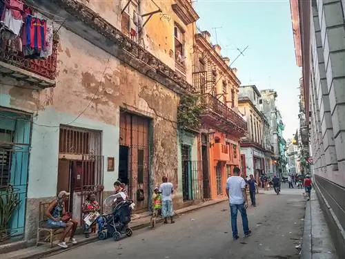 Особенности - 1420_cs-2431d36697b0