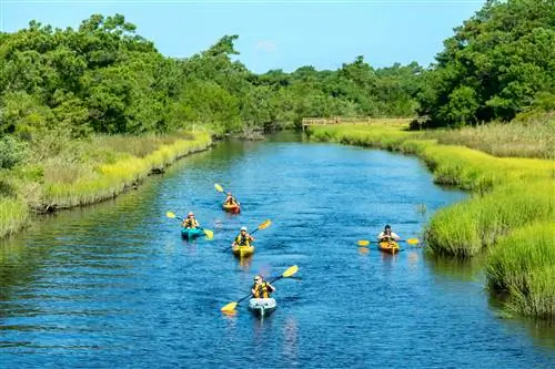 Пять человек катаются на байдарках в Саутпорте на Брансуикских островах. Голубая вода и зеленые болота вокруг. Весна или лето