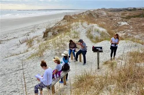 Группа людей собирается вокруг почтового ящика родственных духов, уникальной достопримечательности на Сансет-Бич, чтобы записать свои истории или секреты в качестве духовного освобождения.