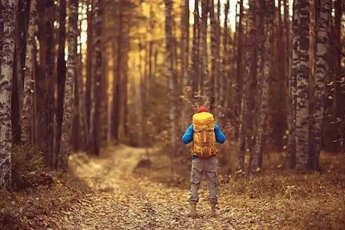 Лучшие национальные парки Финляндии для туристов, гребцов, собирателей и любителей природы