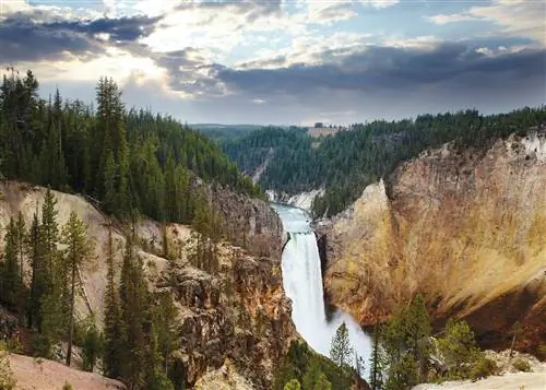 Панорамный вид на Нижний водопад, самый высокий водопад в Йеллоустонском национальном парке, погружающийся на 308 футов в Гранд-Каньон Йеллоустоуна.