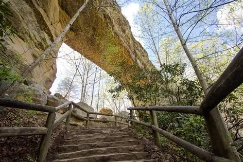 Особенности - Каменная арка в государственном парке Natural Bridge в Кентукки