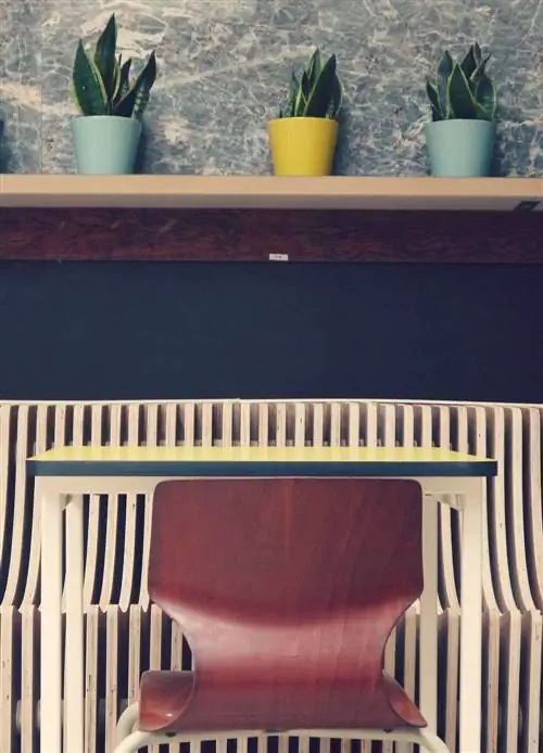 Кафе Чикаго - праздник для глаз и желудка