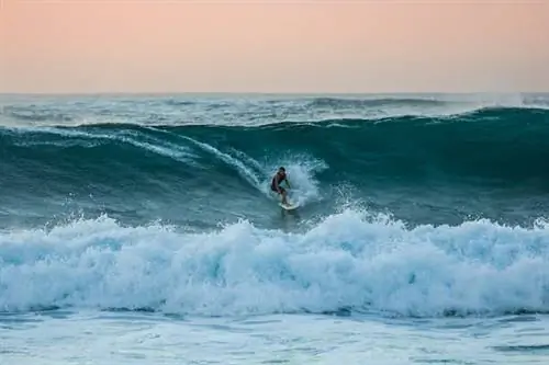 Сезонная встряска: альтернативные способы провести праздничный период