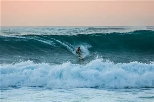 Причудливые торты, украшенные вручную мной, Гавайи
