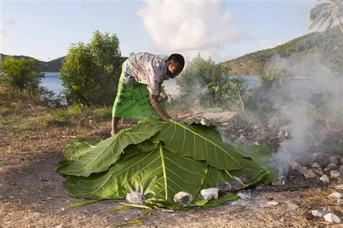 Einheimische kochen mit Erdofen, Makogai, Lomaviti, Fidschi | Местные жители готовят с Lovo Oven, Макогай, Ломавити, Фиджи