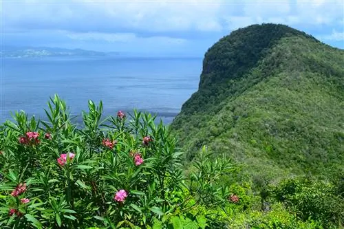 Гористая местность Бекии отлично подходит для пеших прогулок