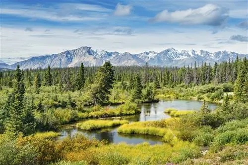 Вид с шоссе на Аляску на покрытую льдом вершину горы Кэрнс в передних хребтах Клуана.