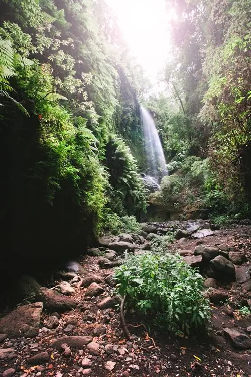 Водопад в тропическом лесу Лос-Тайлс