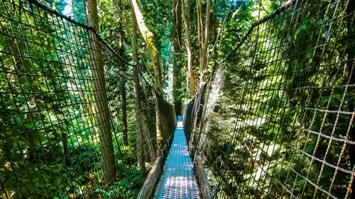 Greenheart Canopy Walkway - изюминка Ботанического сада UBC.