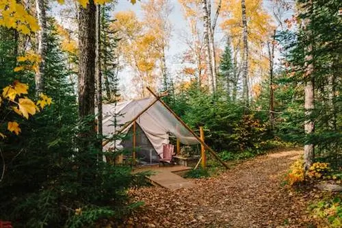 Станет ли глэмпинг новой тенденцией путешествий с соблюдением социальной дистанции?