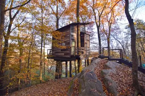 Теплый деревенский деревянный фасад одного из домов на дереве Treetop Hideaways в Чаттануге, Теннесси.