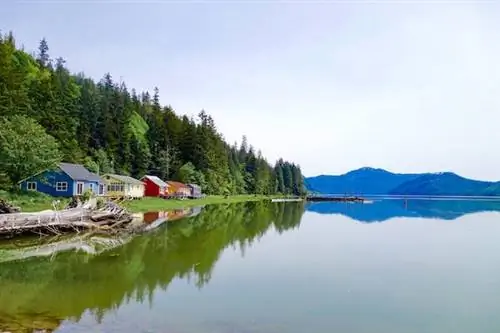 Лучшие места для отдыха в глэмпинге в Северной Америке менее чем за 150 долларов