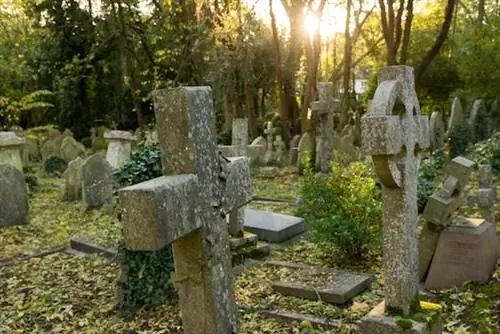Узнайте больше о знаменитом лондонском кладбище Хайгейт без гида