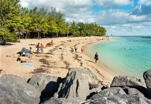 Люди отдыхают на солнечном пляже государственного парка Fort Zachary Taylor.