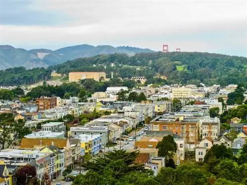 Путеводитель по Сан-Франциско для новичков