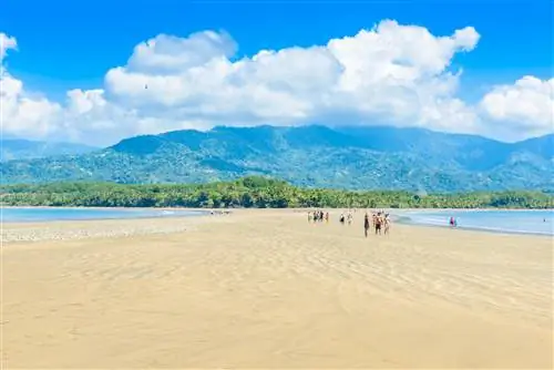 Национальный парк Марино Баллена в Увите, Пунта-Увита, Коста-Рика, Центральная Америка