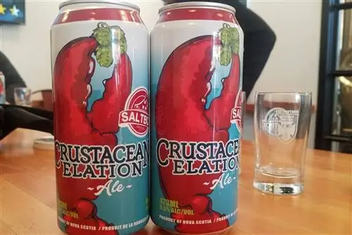 Две большие банки пива S altbox Brewery Crustacean Elation Ale стоят бок о бок на барном столике.
