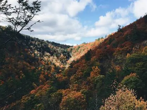 Как спланировать идеальную поездку на выходные в Катскиллс