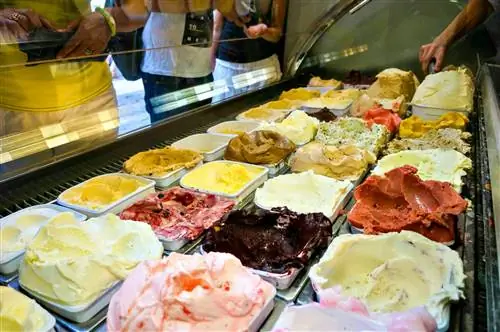 В Terre Adélice можно попробовать около 150 вкусов. Изображение
