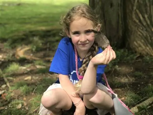 В поисках перьев-j.webp