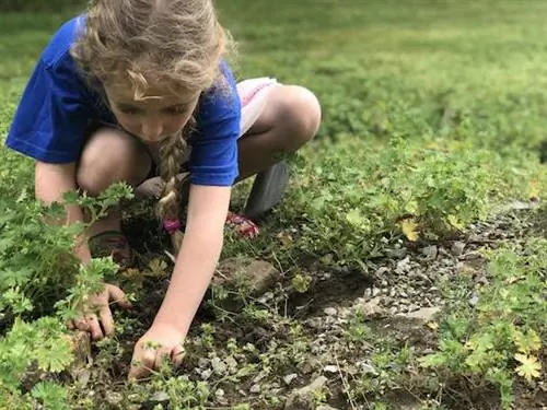 Как стать охотником за сокровищами своими руками