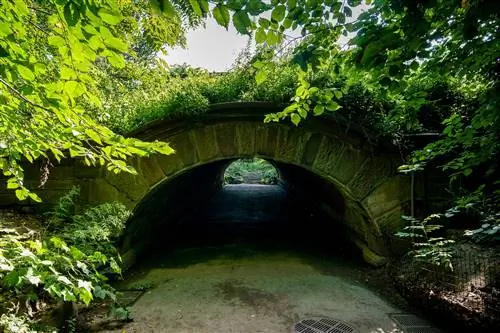 Арка Спрингбэнкс, Центральный парк.