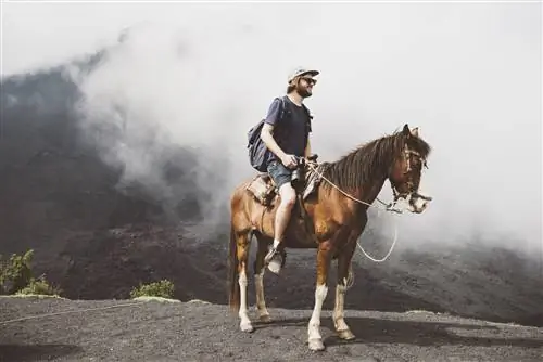 Молодой человек верхом на лошади поднимается на вулкан Пакайя, Антигуа, Гватемала