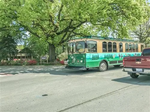 Зелено-коричневая тележка Fun Time, нарисованная сбоку мультяшными медведями и деревьями, под деревом у остановки трамвая в Пиджен-Фордж, Теннесси.