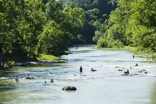 Лучшие места в Арканзасе с точки зрения истории, культуры и приключений на свежем воздухе
