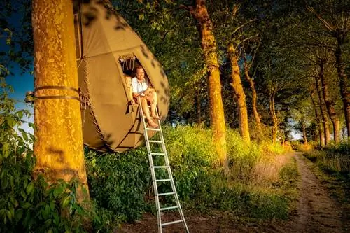 Люди сидят у входа в каплевидные палатки, подвешенные к деревьям в Бельгии.