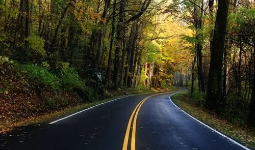 500px ID фотографии: 128513423 - US 441, также известный как NewFound Gap в национальном парке Грейт-Смоки-Маунтин