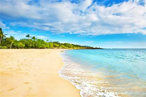 Hulopoʻe Beach Park, Гавайи