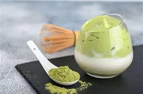 Dalgona Matcha Latte, сливочный взбитый маття, на светлом фоне. Зеленый чай маття.