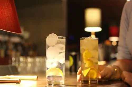 Закажите G&T и посидите в антикварном баре отеля Cosmopolitan.