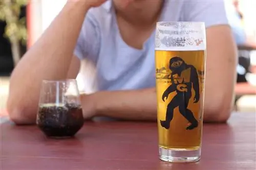 Наслаждайтесь холодным крафтовым пивом в Mad Giant