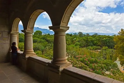 Вид на БОТАНИЧЕСКИЙ САД с балкона КУЛЬТУРНОГО МУЗЕЯ ОАХАКИ или Museo de las Culturas de Oaxaca - MEXICO Вид на БОТАНИЧЕСКИЙ САД с балкона КУЛЬТУРНОГО МУЗЕЯ ОАХАКИ или Museo de las Culturas de Oaxaca - MEXICO