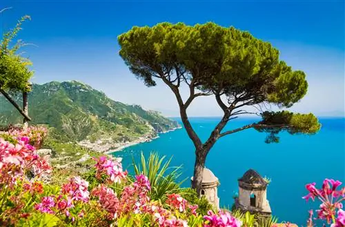 Открытка с видом на знаменитое побережье Амальфи из Равелло, Италия