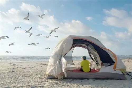 8 лучших пляжей Техаса для семейного отдыха, наблюдения за дикой природой или прогулок в одиночестве