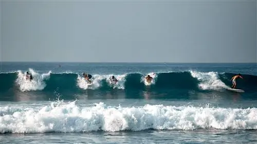 Пять серферов подряд ловят волну в тропическом месте