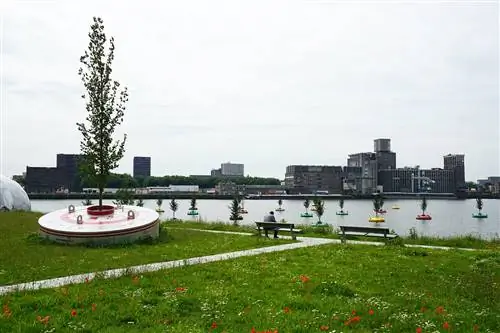 Качающийся лес (Mothership / Jeroen Evereart, 2016). Фото Джаспера Плеуна / Rotterdam Partners. Качающийся лес (Mothership / Jeroen Evereart, 2016). Фото Джаспера Плеуна / Rotterdam Partners.