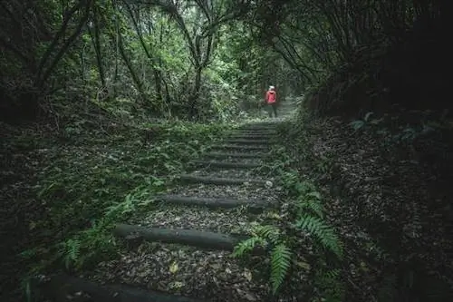 8 экологически чистых направлений, где экологичность является приоритетом