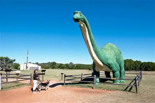 Глен Роуз, Техас - 16 октября 2017 г. Государственный парк Долина динозавров в Глен Роуз, штат Техас, где есть следы динозавров, которым более 100 миллионов лет.